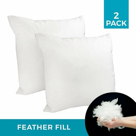 STANDALONE Premium Feather Replacement Cushion Insert 20 x 20 2-Pack ST4235036
